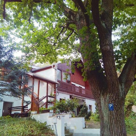 Pension Fischer Plauen Exterior photo